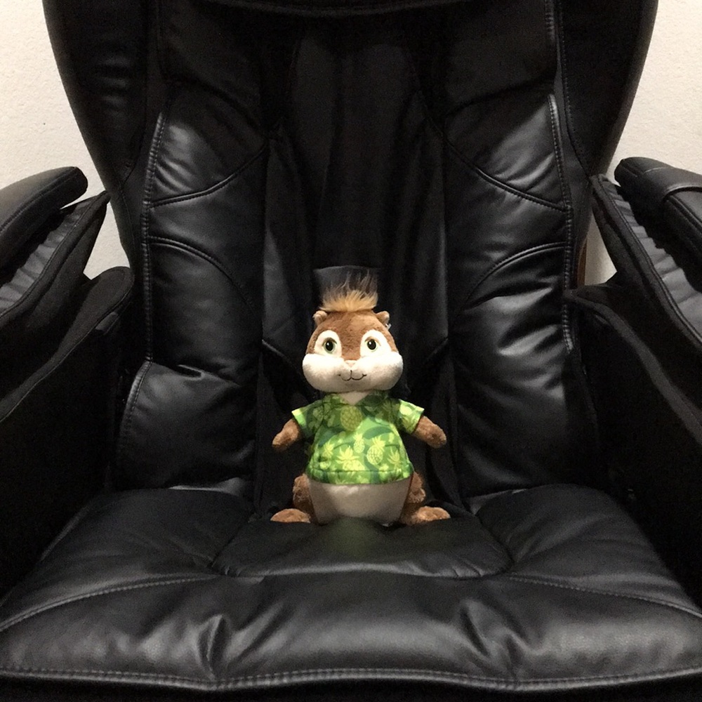 ❣️ BUILD-A-BEAR ❣️ COLLECTION SUPER RARE LIMITED EDITION CHIPMUNK PLUSH (NWOT) .